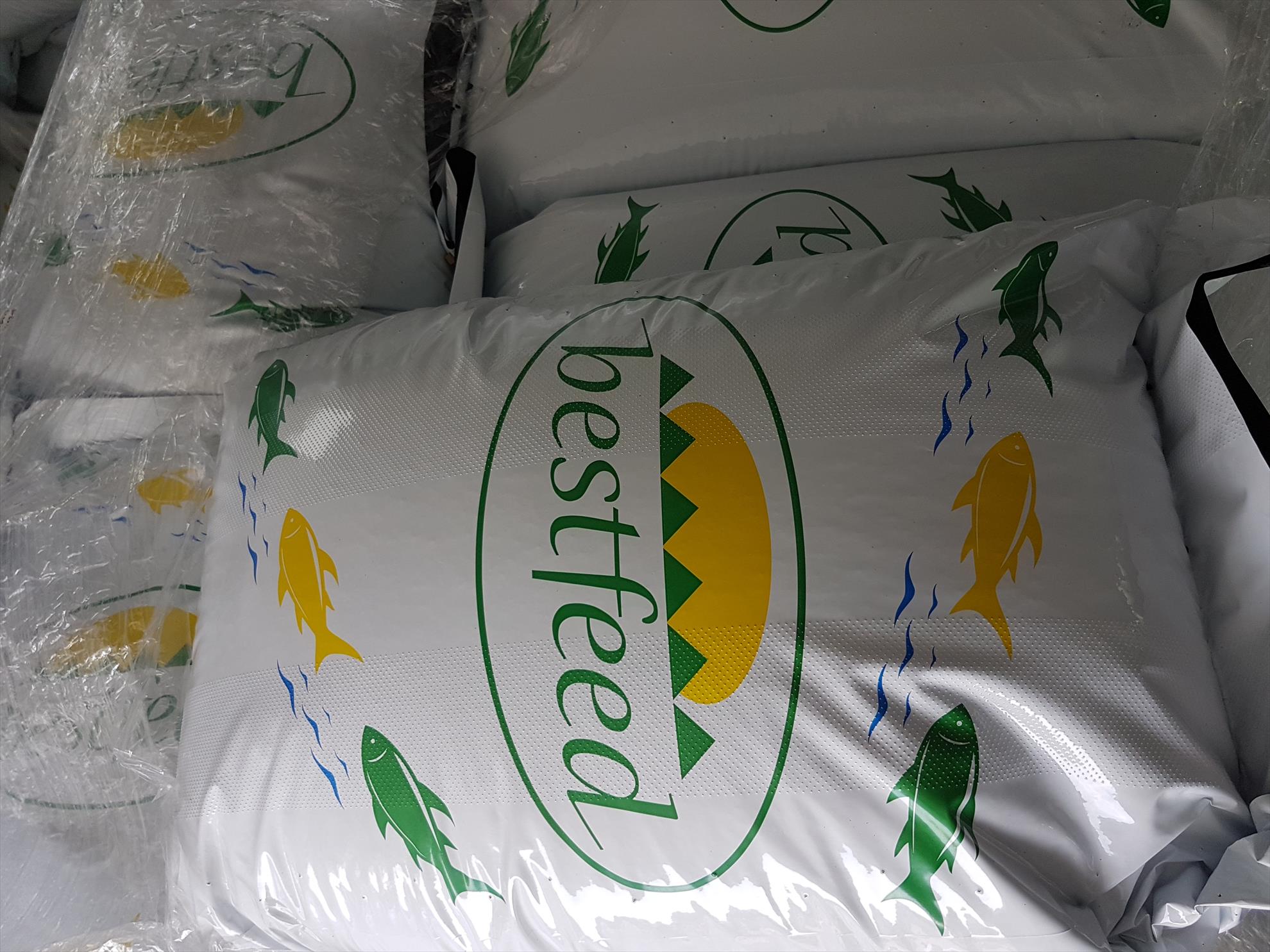  - 20170623165536.jpg