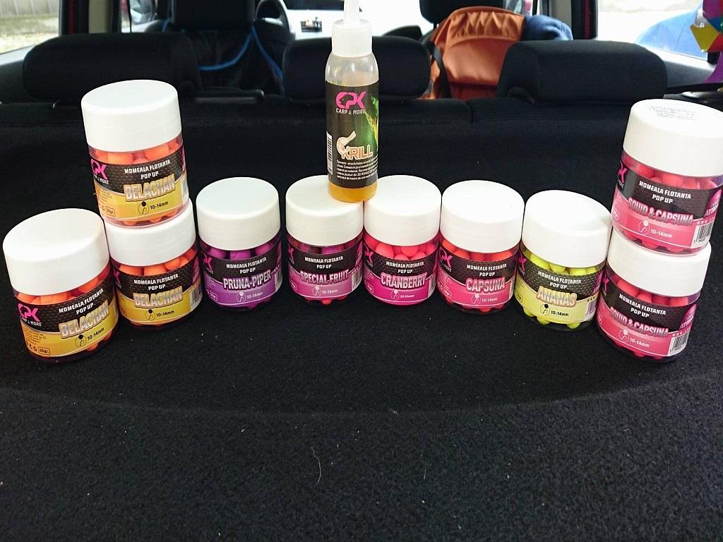  - 2343306110155154288043041504145800o.jpg