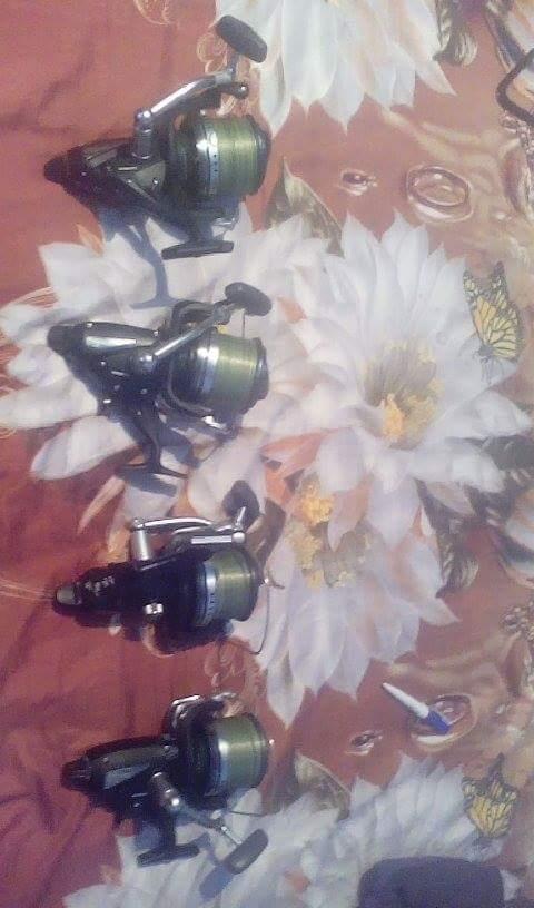  - received18904462145200271.jpeg