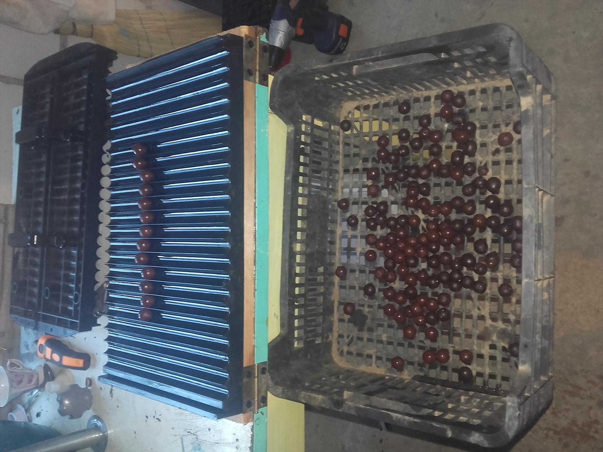  - 20170410071844.jpg