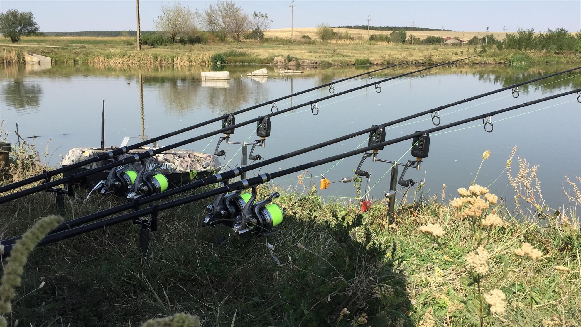  - 47303a93-e1f0-4ea4-bff0-75aba4f98cad.jpeg