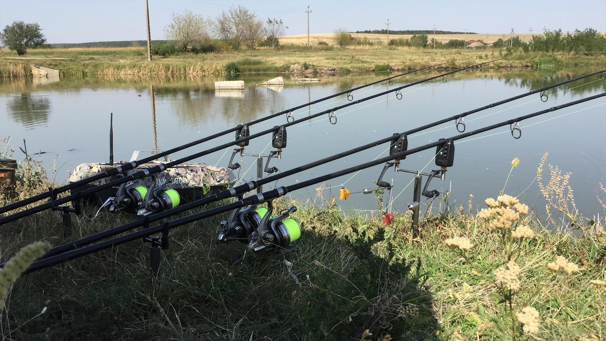  - 48d42ddc-c71b-47bf-81d8-fa3fca57040a.jpeg