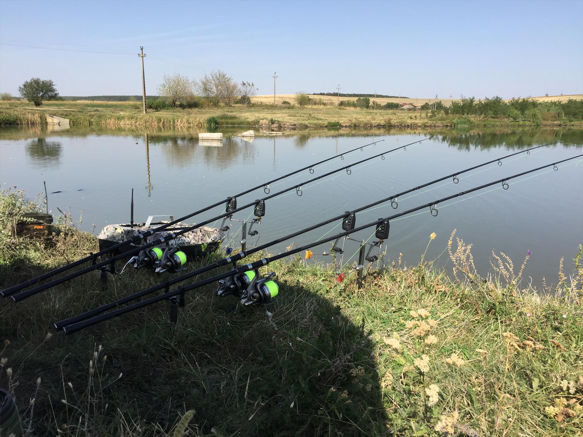  - c0aea6a4-4048-4572-9cb7-a1d81abb6879.jpeg