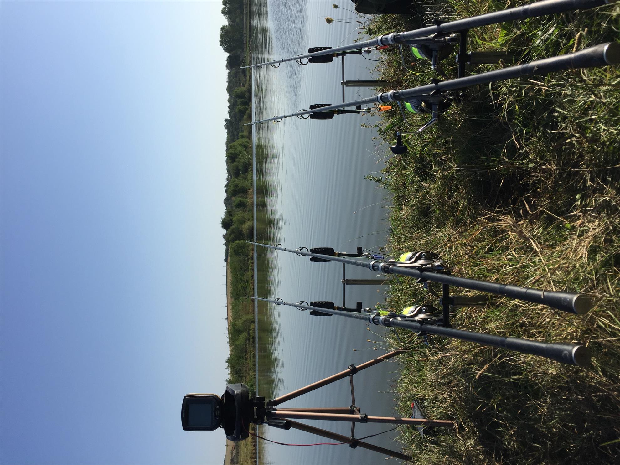  - e5fad37d-63df-473b-9f66-cfe195e10025.jpeg