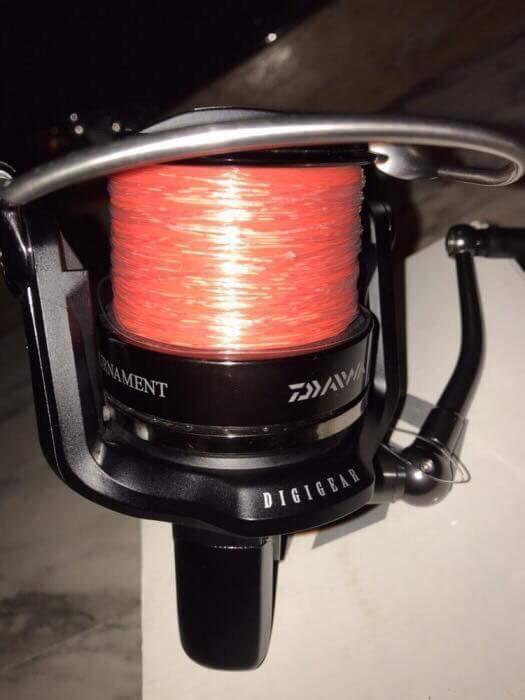  - 4e4b19fb-998c-45e8-94d2-8025dc434d6e.jpeg