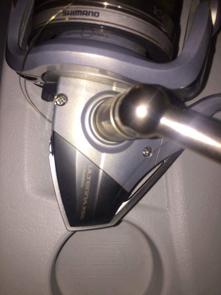  - 028fe485-f017-44ab-a37c-0f7371a26915.jpeg