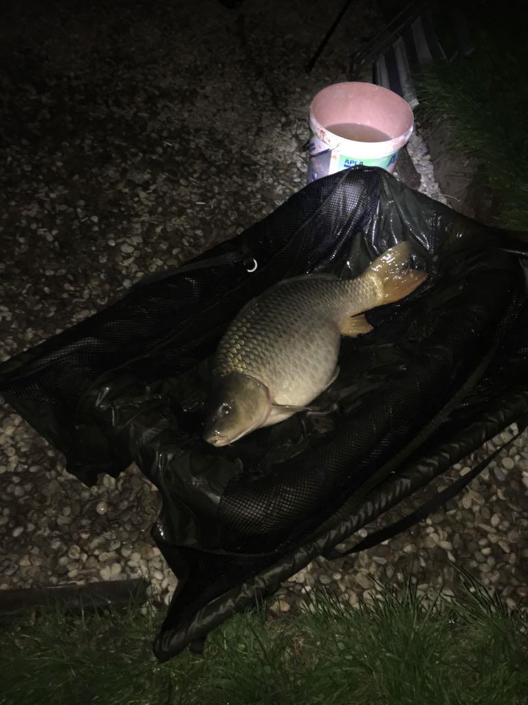 Candeasca, bazinul 1, cabana 3 - img-20170527-wa000820170923140513.jpg