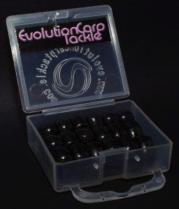  - dsc5421-2-257x300.jpg