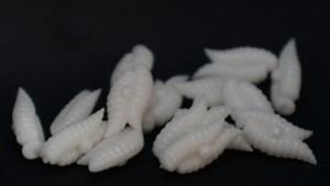  - white-doubles-300x169fixed.jpeg