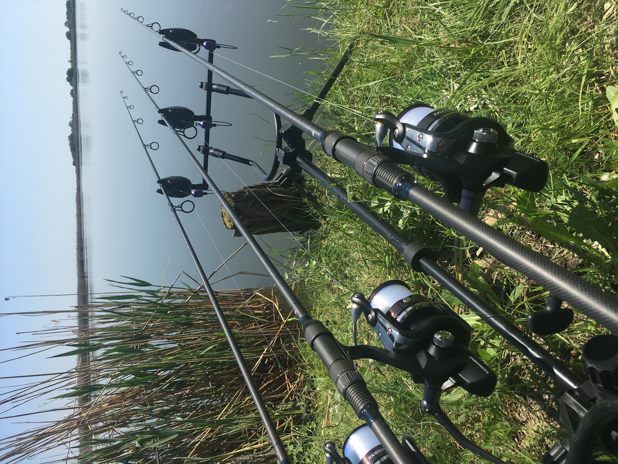  - 400bbe30-de73-4f4e-bc76-02543c9fdb97.jpeg