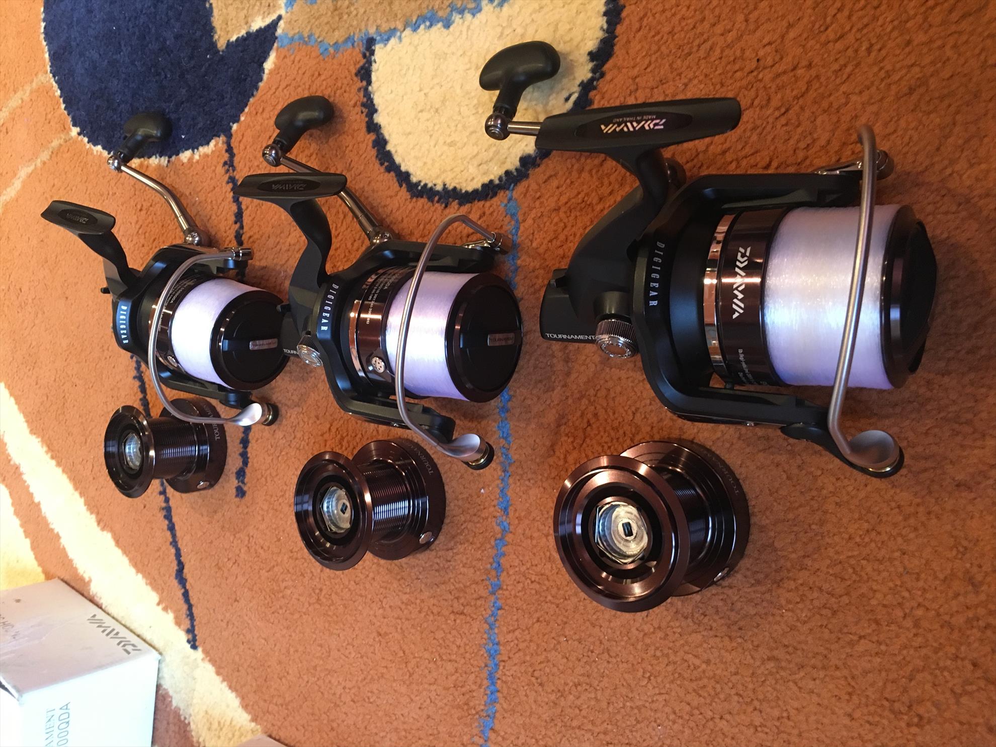  - 864163b9-f52c-4d36-8434-817ff21ba231.jpeg