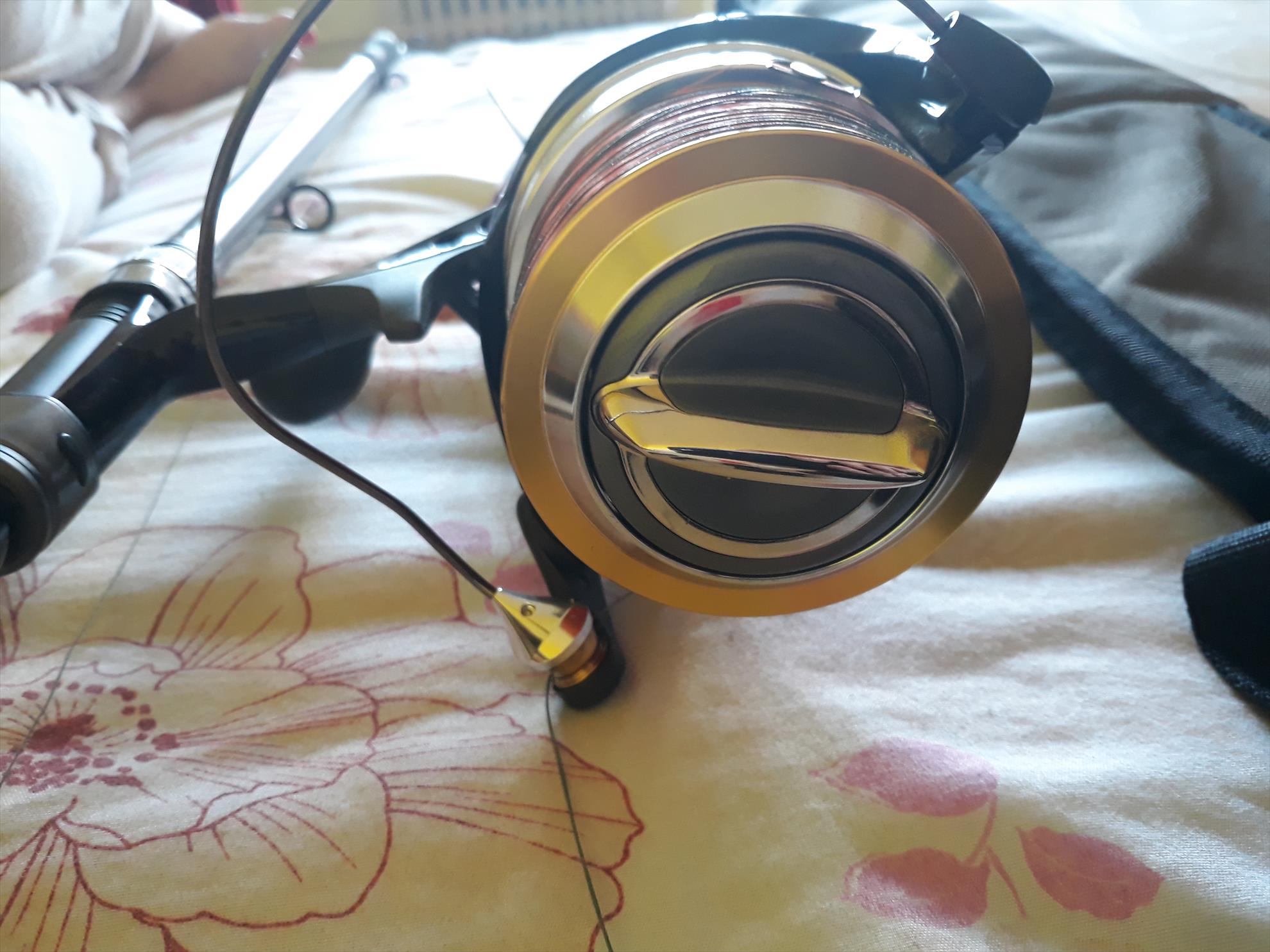  - 20180611184430.jpg