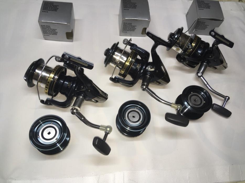  - 20851231111000x700vand-mulineta-arad-rev005.jpg