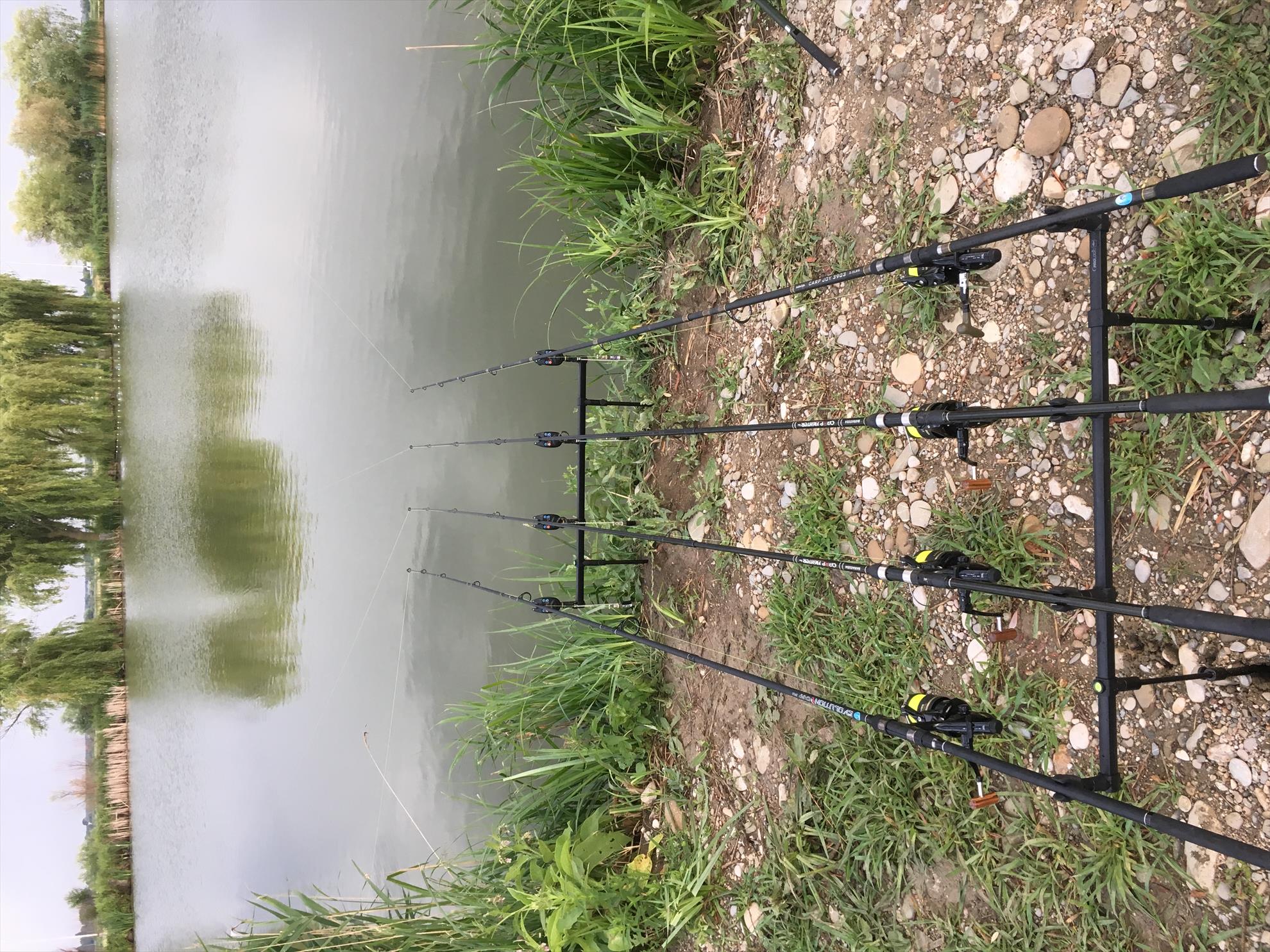  - 01839b5b-cc0d-48a1-82cb-c8c13be86504.jpeg