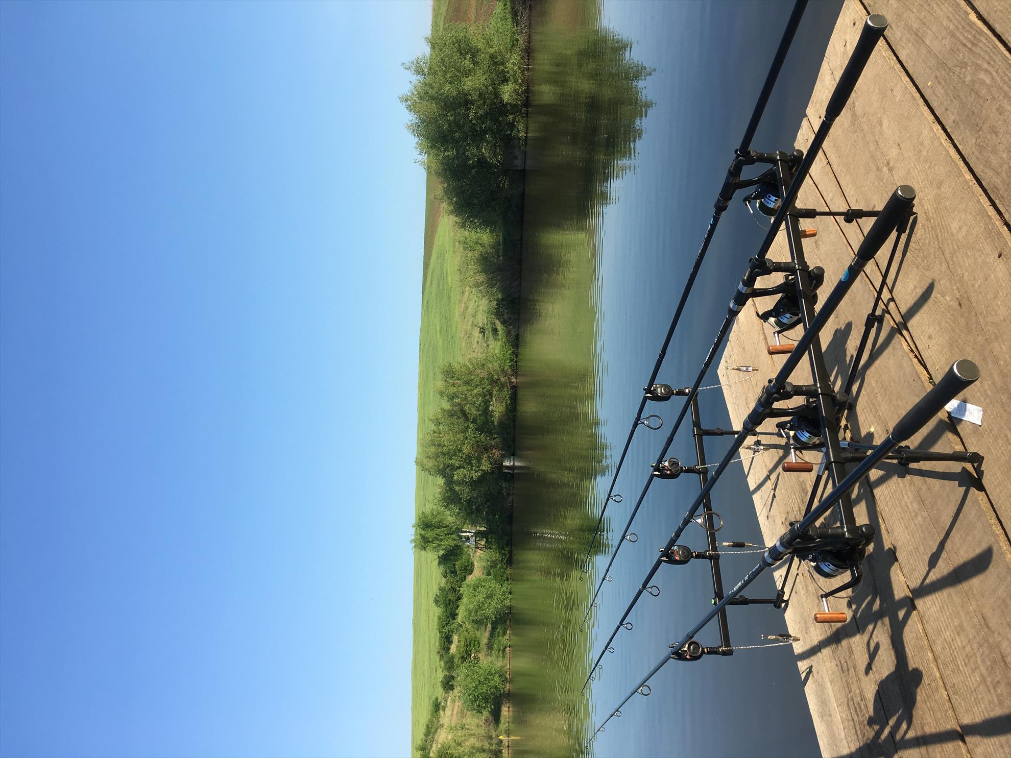  - fc0d3ea1-c704-44a9-8d1b-c05383de233e.jpeg