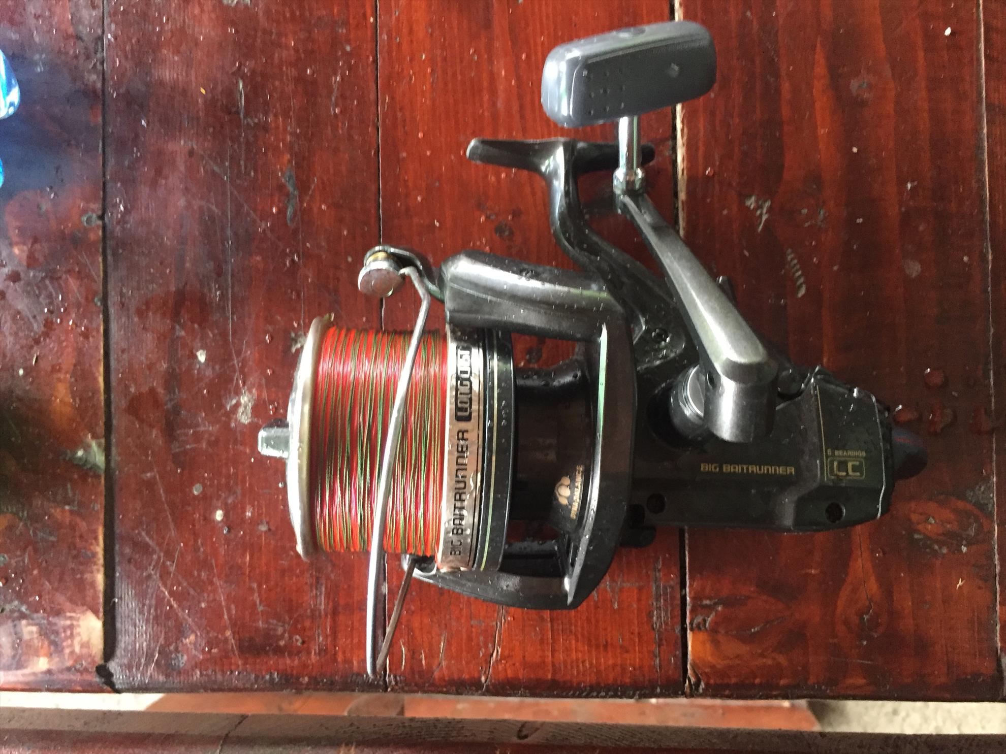  - d5c795a7-1e4a-495e-9384-f5674fc117e1.jpeg