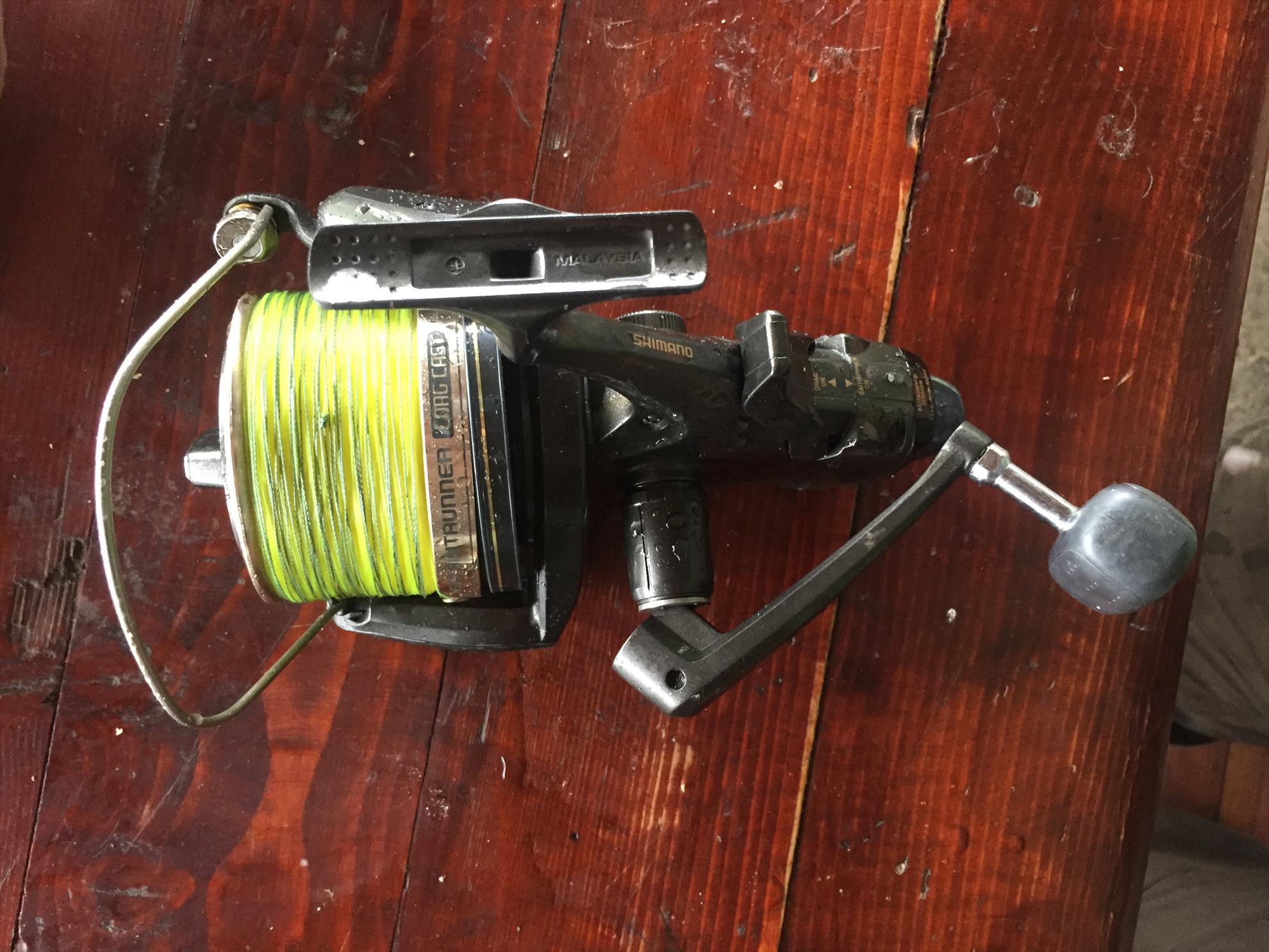  - d5c90366-74ee-4b75-bcc2-fdff68a92bf5.jpeg