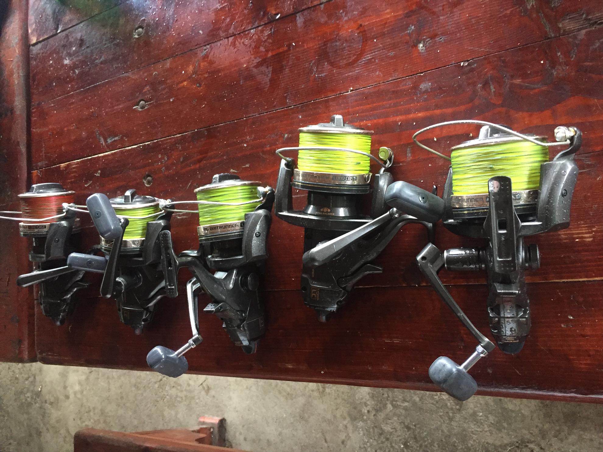  - f6b96df3-2ad6-45b4-a18b-3a15503ccb4f.jpeg