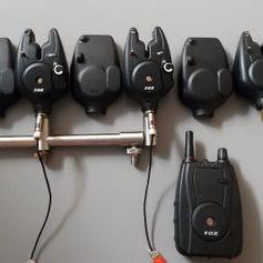  - 3ea02be6-ae4b-43c5-b4c1-b5bb79734580.jpeg