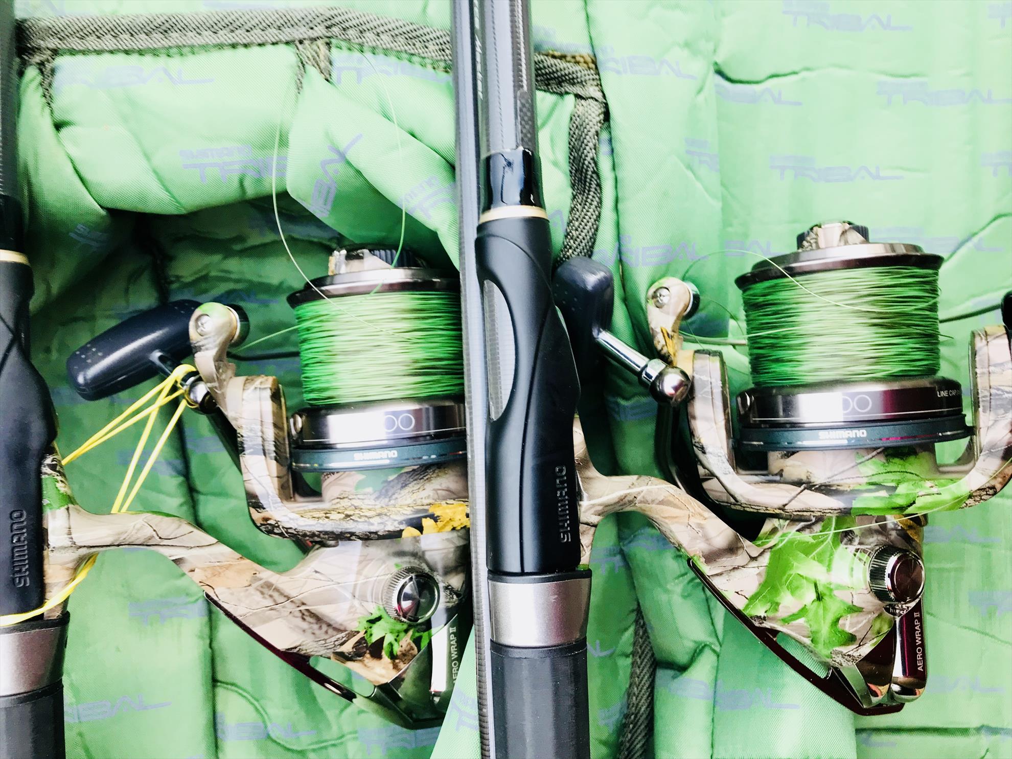  - c3e256e9-f29e-455d-994e-330298004e6f.jpeg