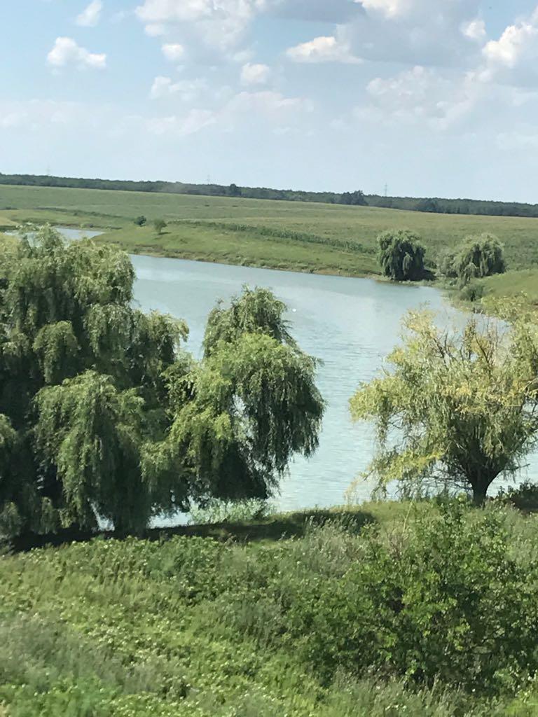 Balta Corata 1 - eprv5483.jpg