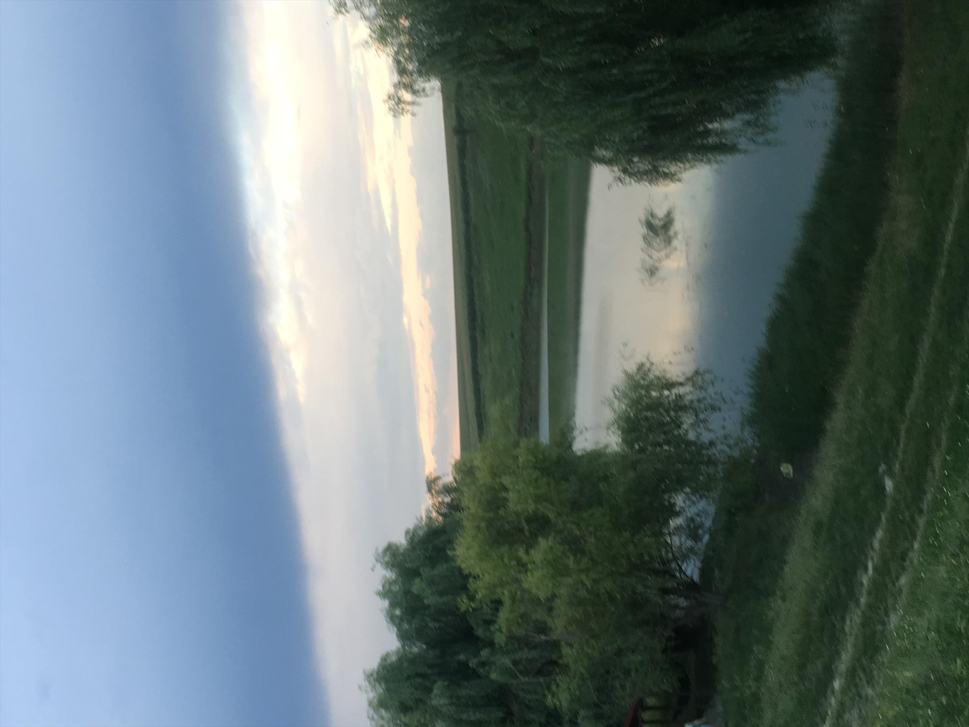 Balta Corata 1 - img2891.JPG