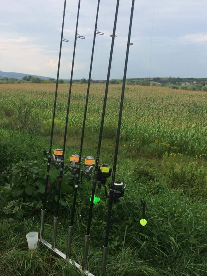  - fbimg1539875428336.jpg