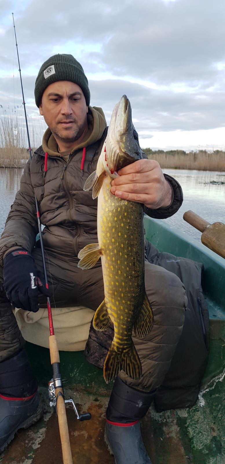  - 2a52028c-ab5d-40ae-88b1-48c53b9d361a.jpeg