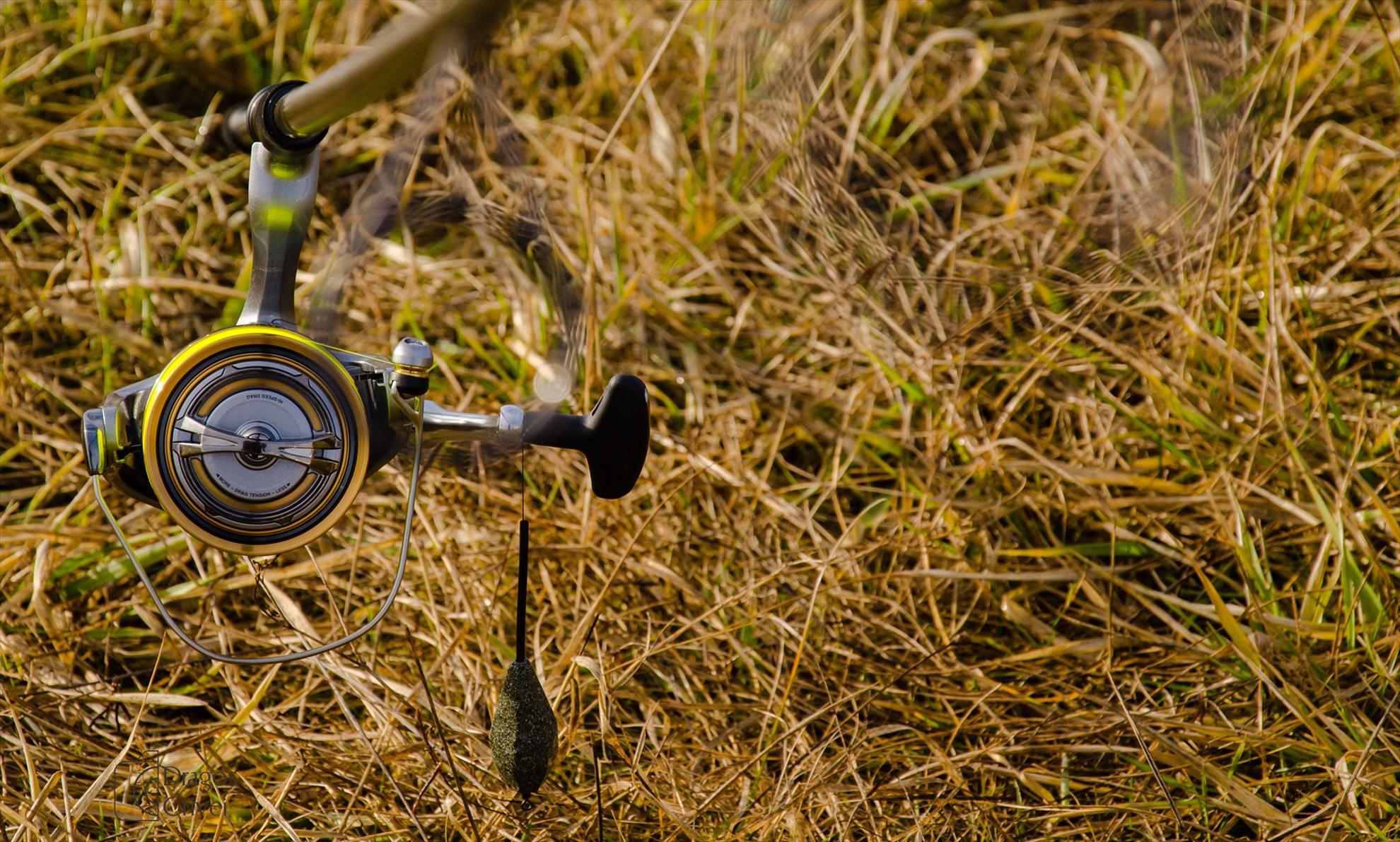 Casting Shimano - Claumar Pescar - 1 - casting-shimano-by-claumar-10.jpg