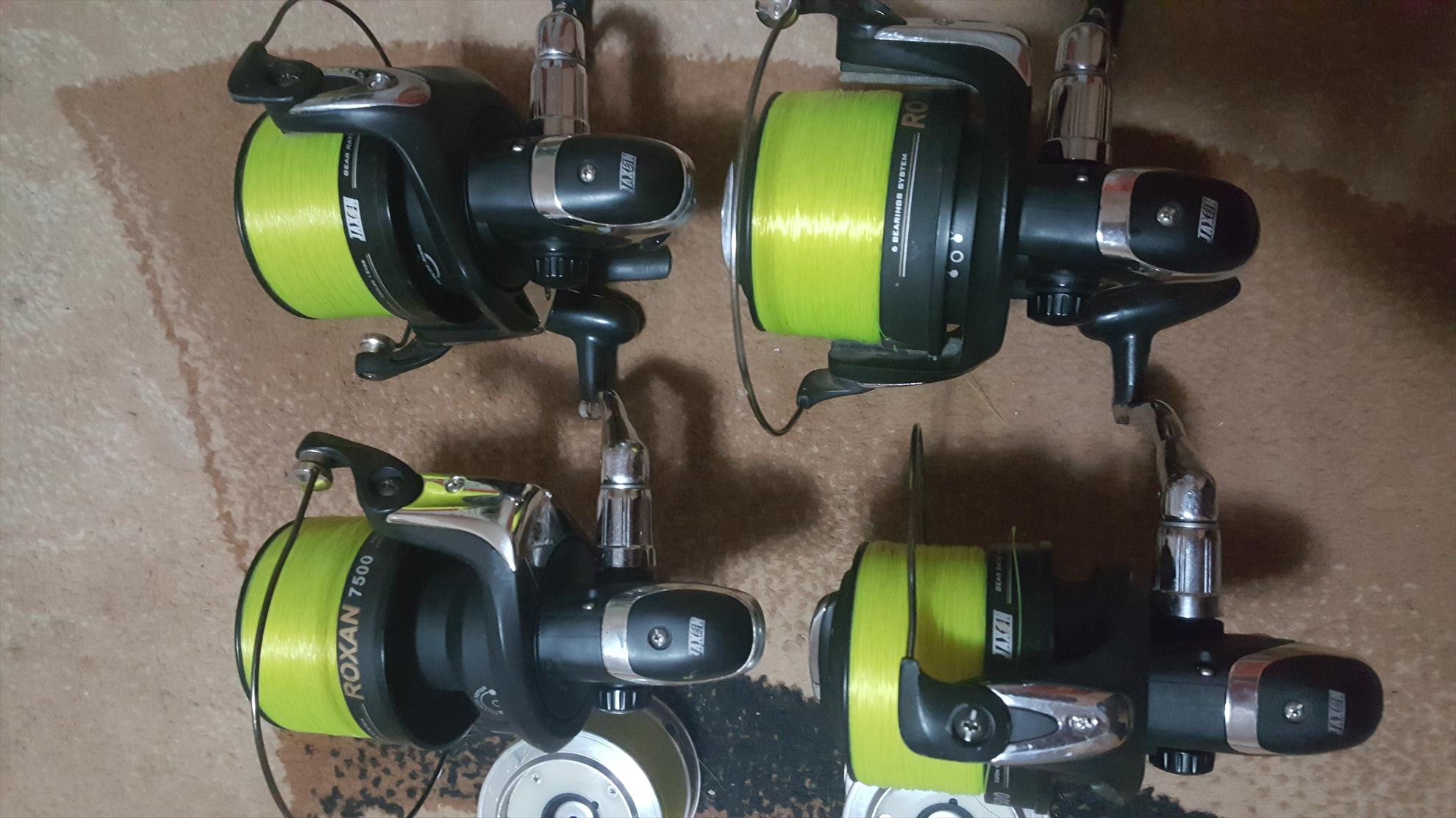  - 20190223184309.jpg