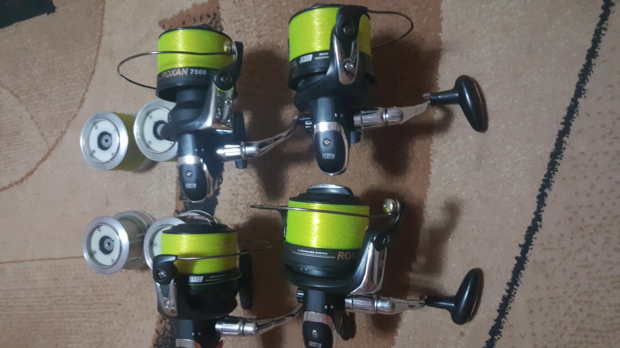  - 20190223184316.jpg