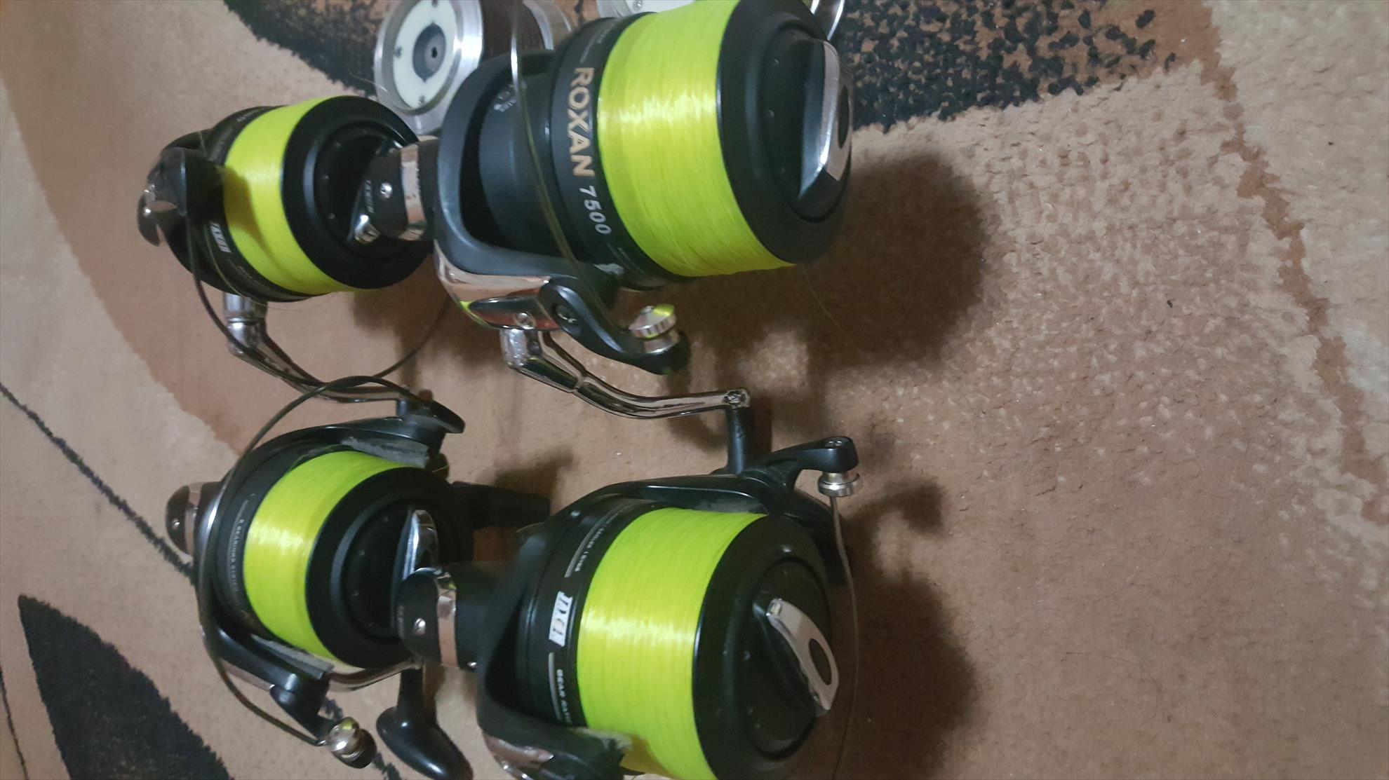  - 20190223184349.jpg