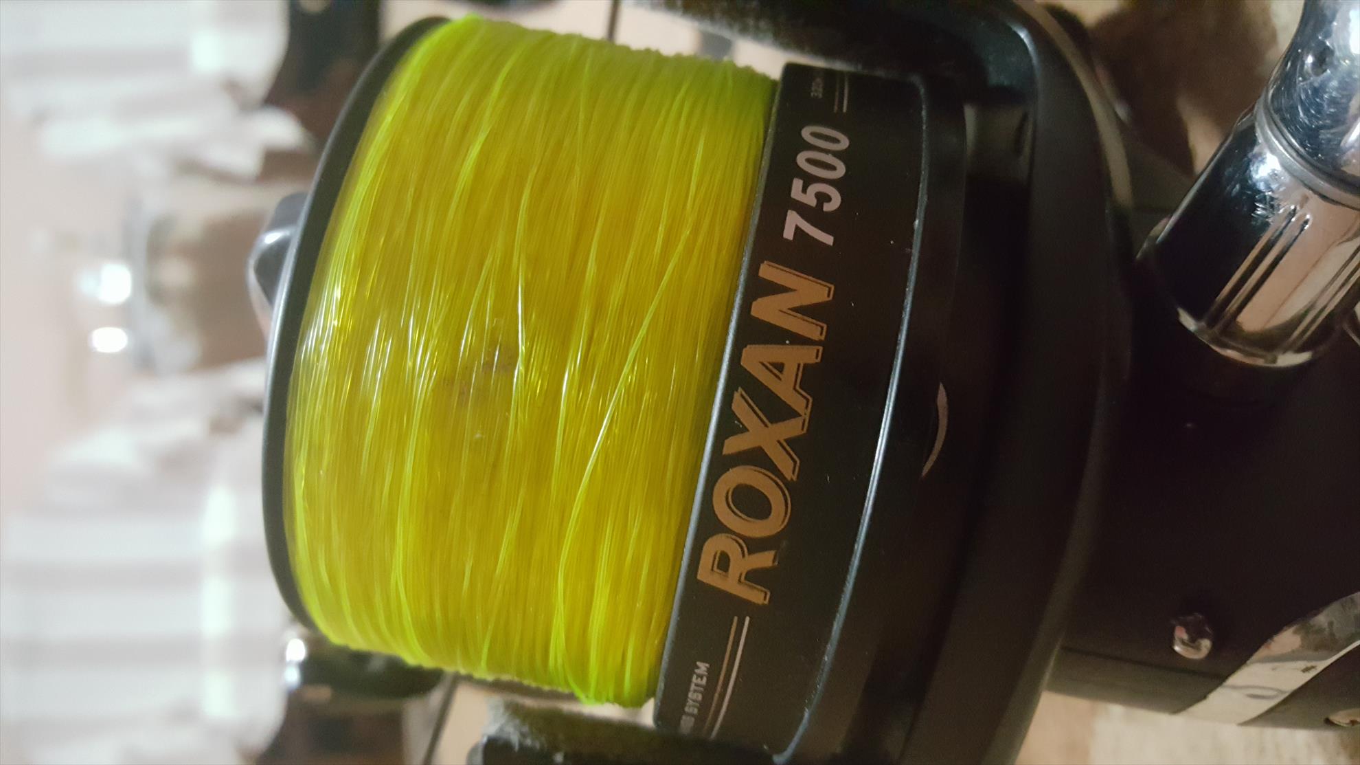  - 20190223185208.jpg