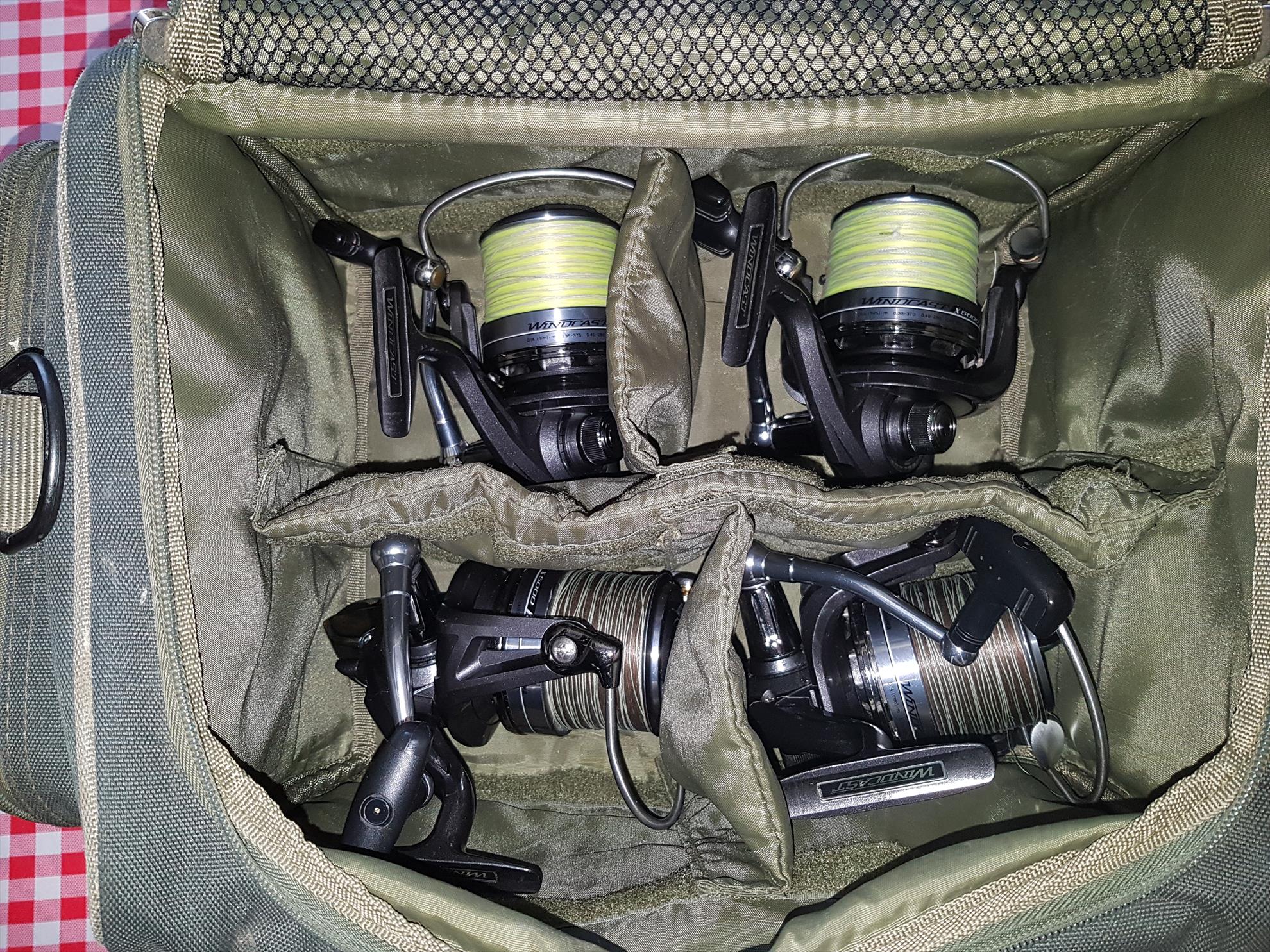  - 201902271000431.jpg