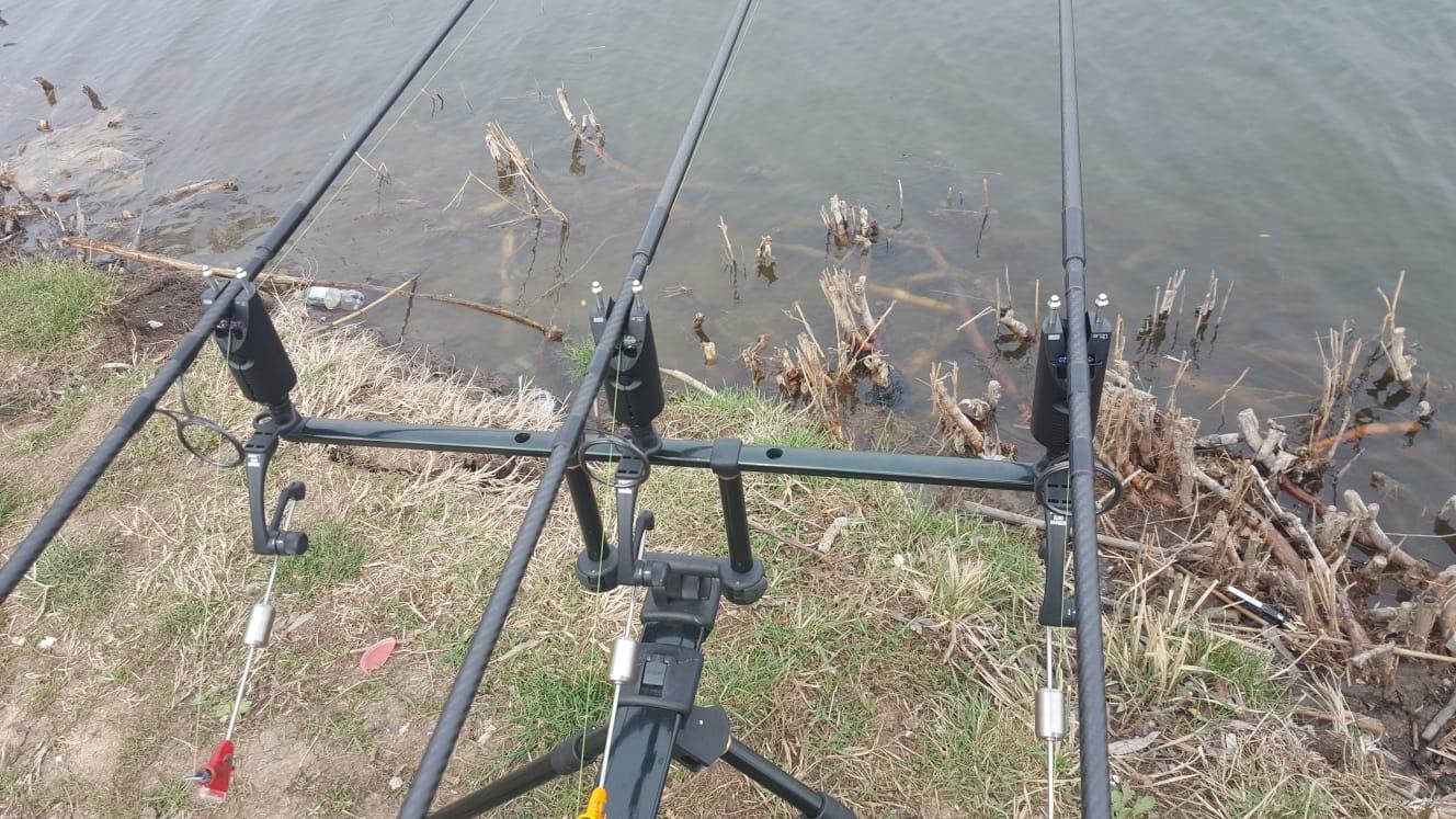  - 977c9dfb-fb9f-44cb-b046-e5e2f4e4265f.jpeg