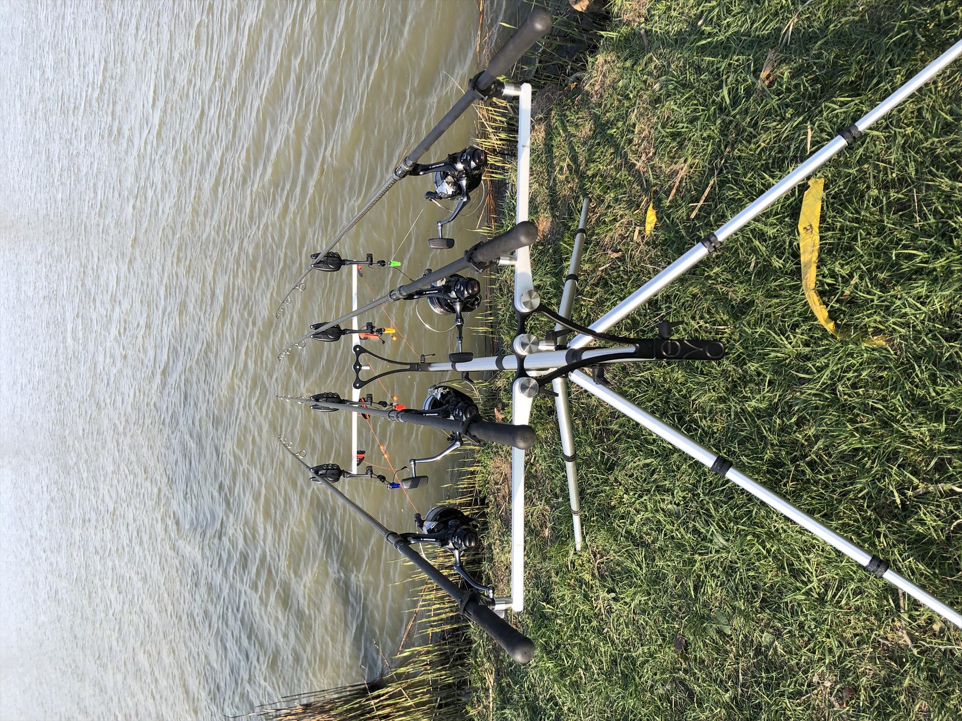  - 17f3ad8f-a4ef-4b17-8bdd-fa060d989457.jpeg