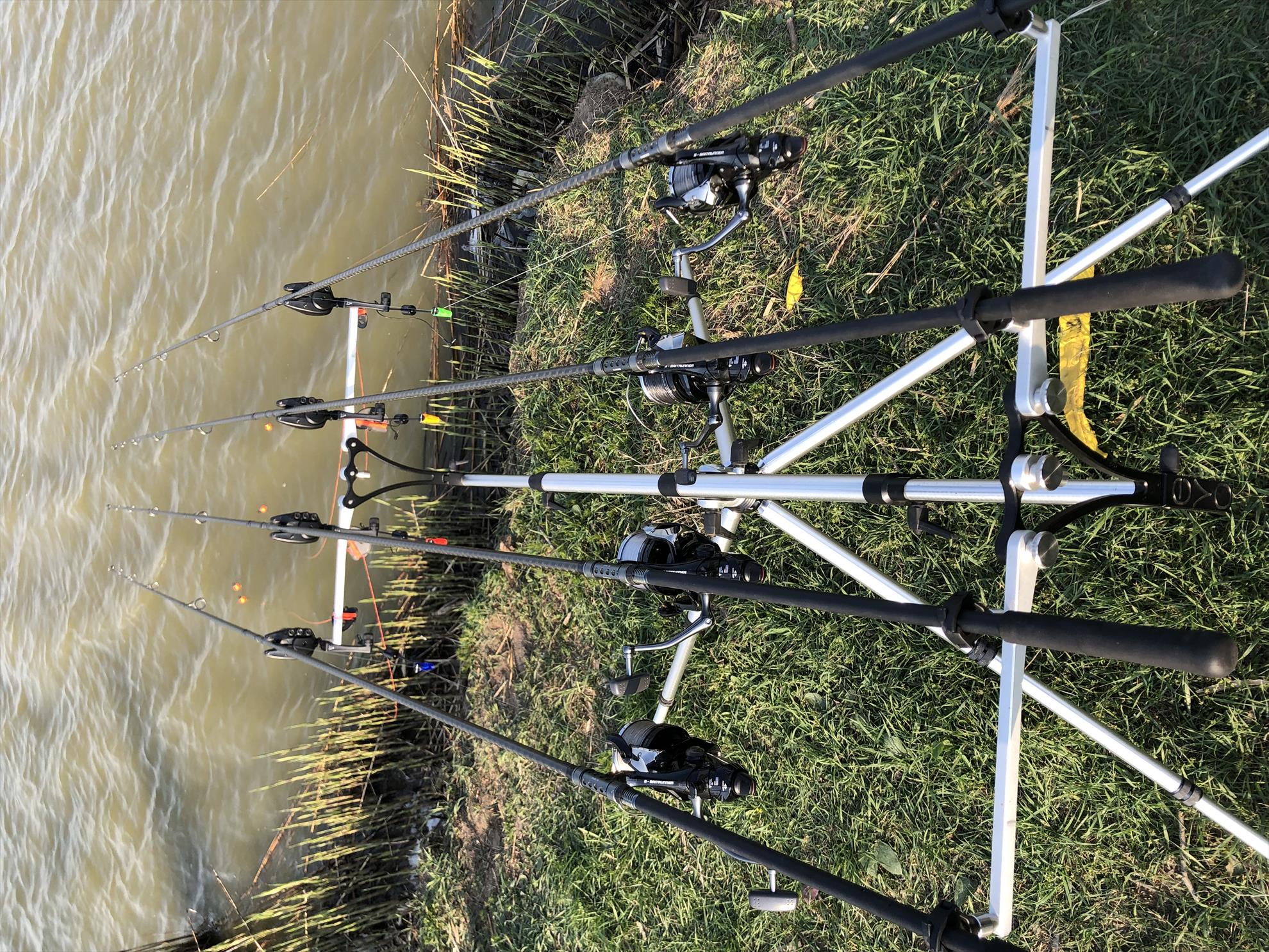  - 28c897a6-b282-4d80-9fd4-61f4a2bb78f9.jpeg