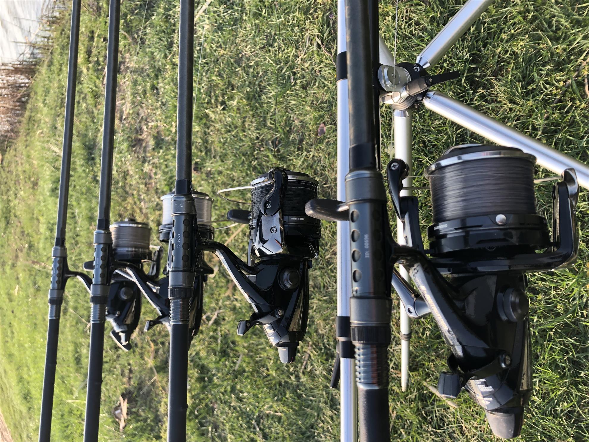  - 5b56a288-0908-4214-ad74-bcef93d2d549.jpeg