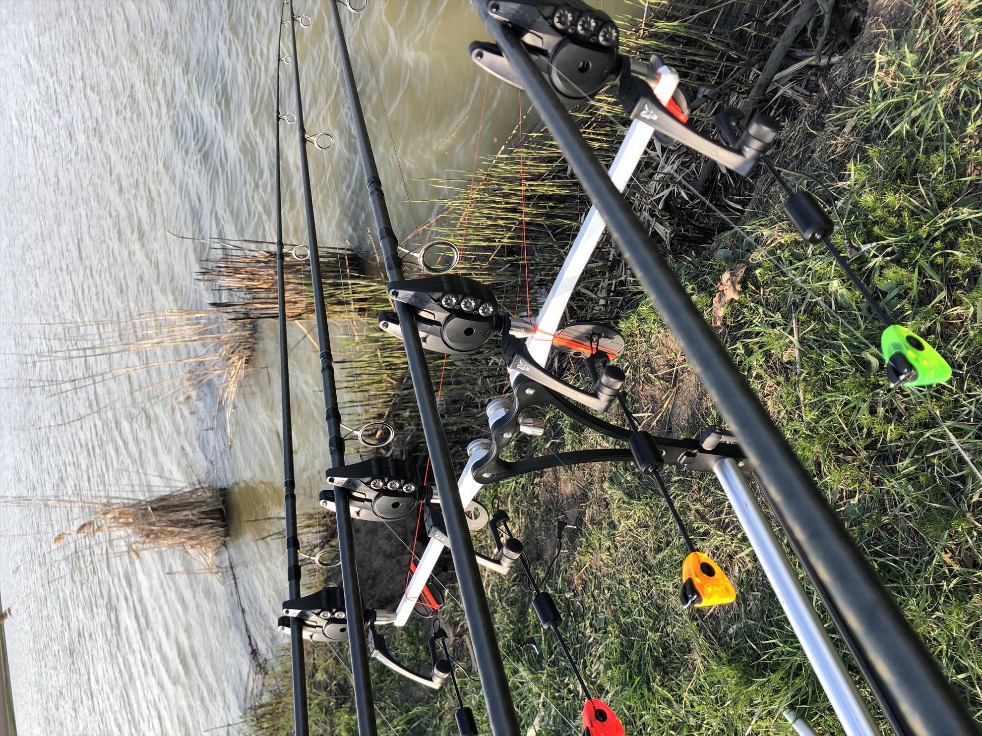  - 5ded2fc6-f3f6-423f-97d7-390535481ac4.jpeg