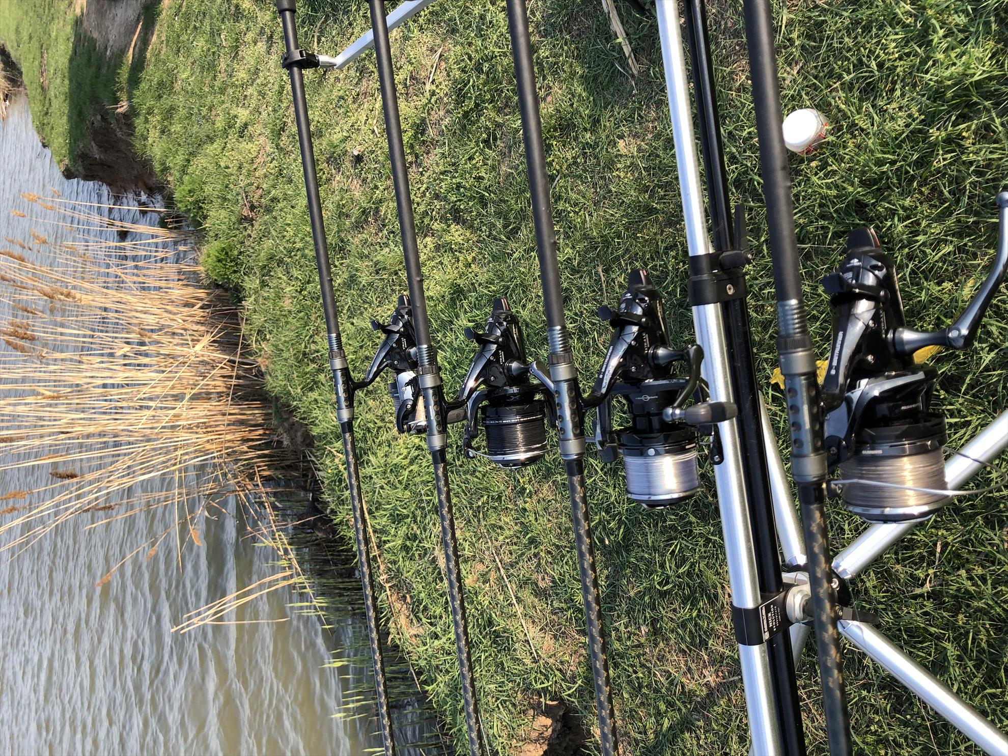  - f9412da8-fed9-458d-9626-d46bb93fddb1.jpeg