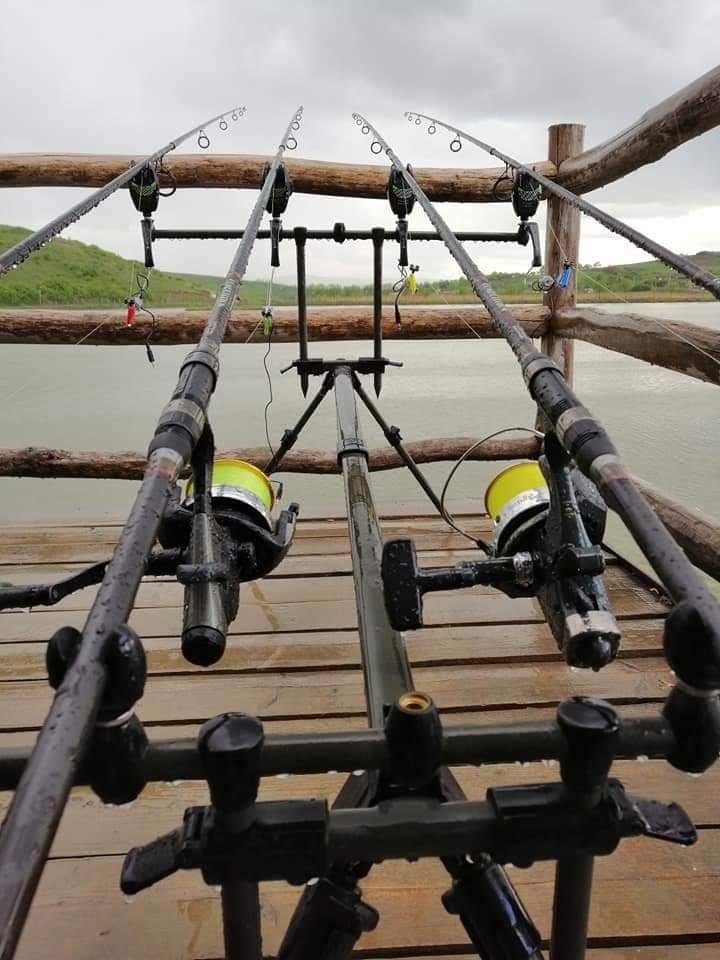 Capturi 2019 - 574463918335990569990618707356094474747904n.jpg