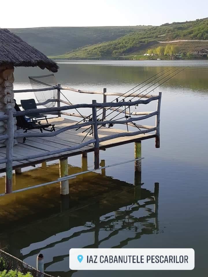 Capturi 2019 - 58596788829486867410280693336476103999488n.jpg