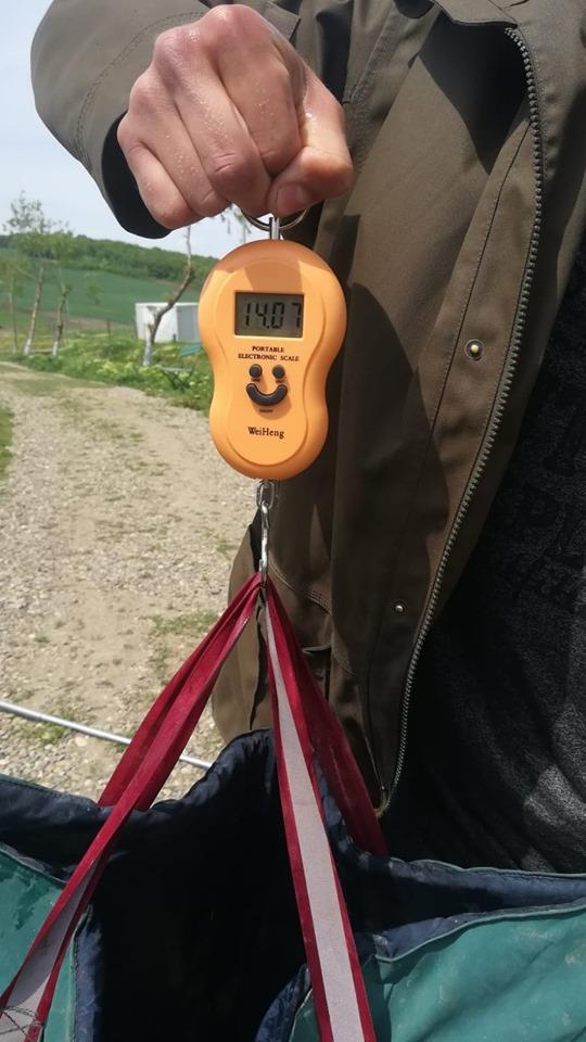 Capturi 2019 - 598326898362405534015782763543758254374912n.jpg