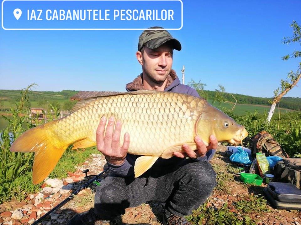 Capturi 2019 - 601358768404821496440857365654894419640320n.jpg