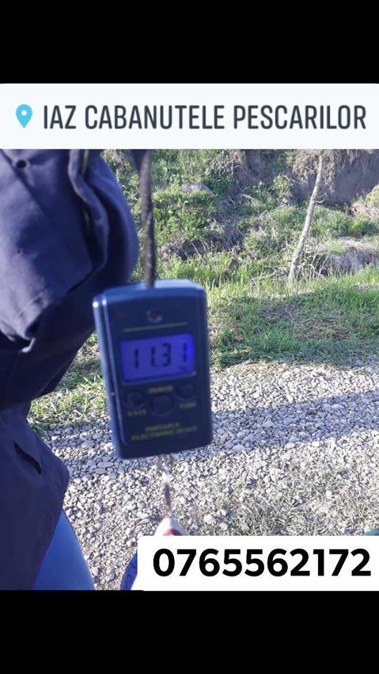 Capturi 2019 - 601591378388253764764291830853161380741120n.jpg