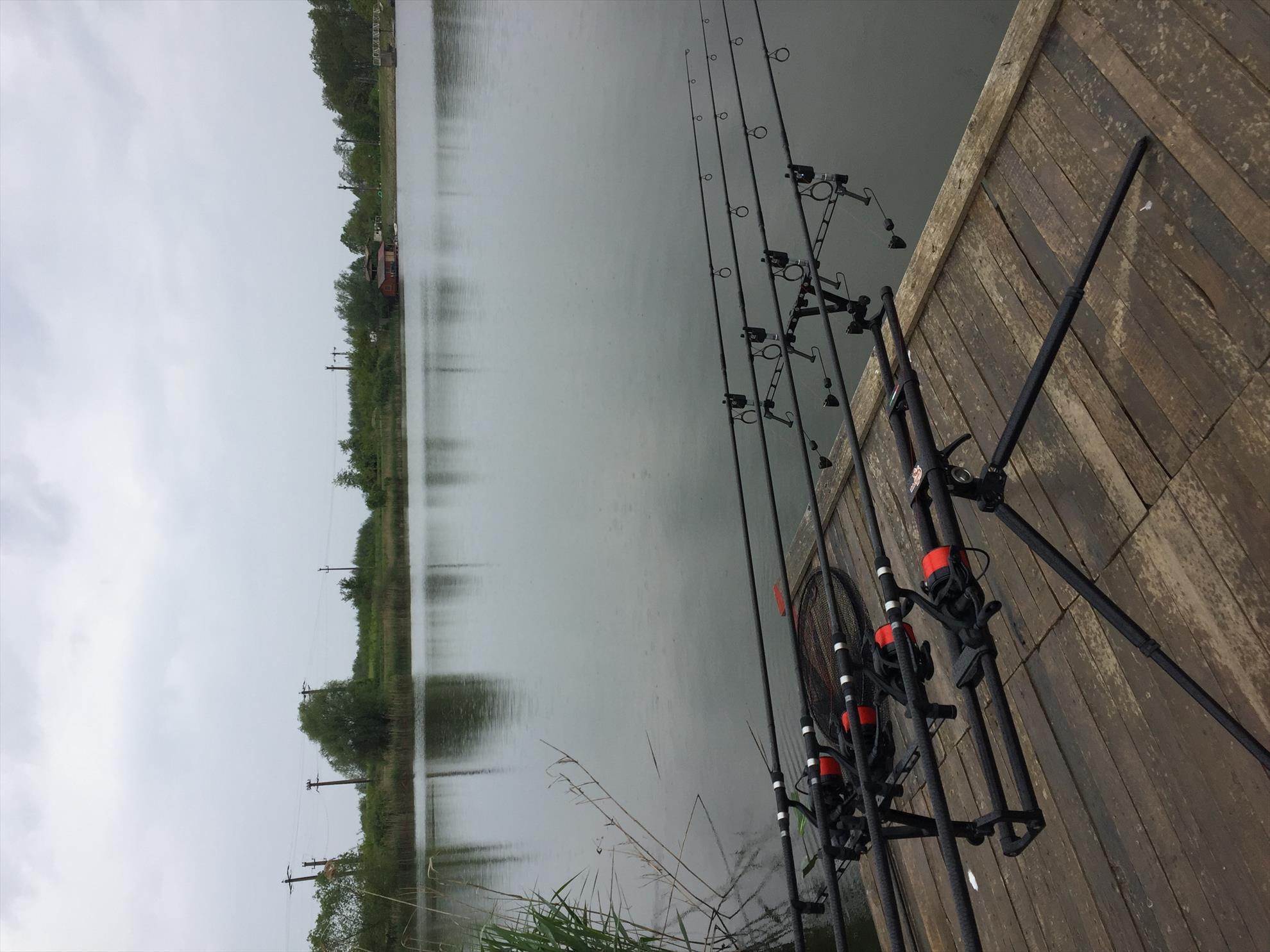  - d04ee004-41a1-49e7-ab64-7f21070a8289.jpeg