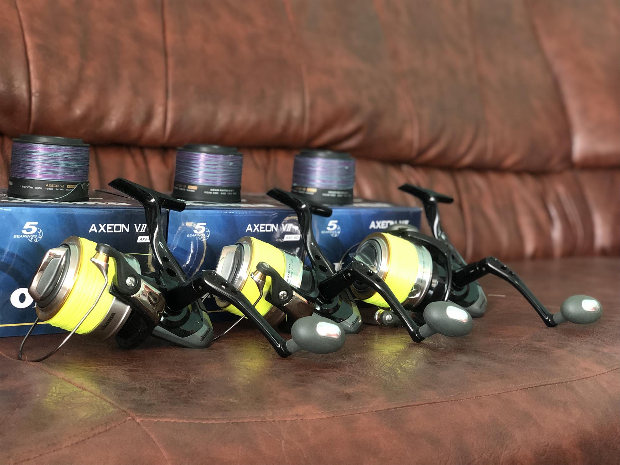  - bb5ca735-f225-49fe-a23d-c344e929e967.jpeg