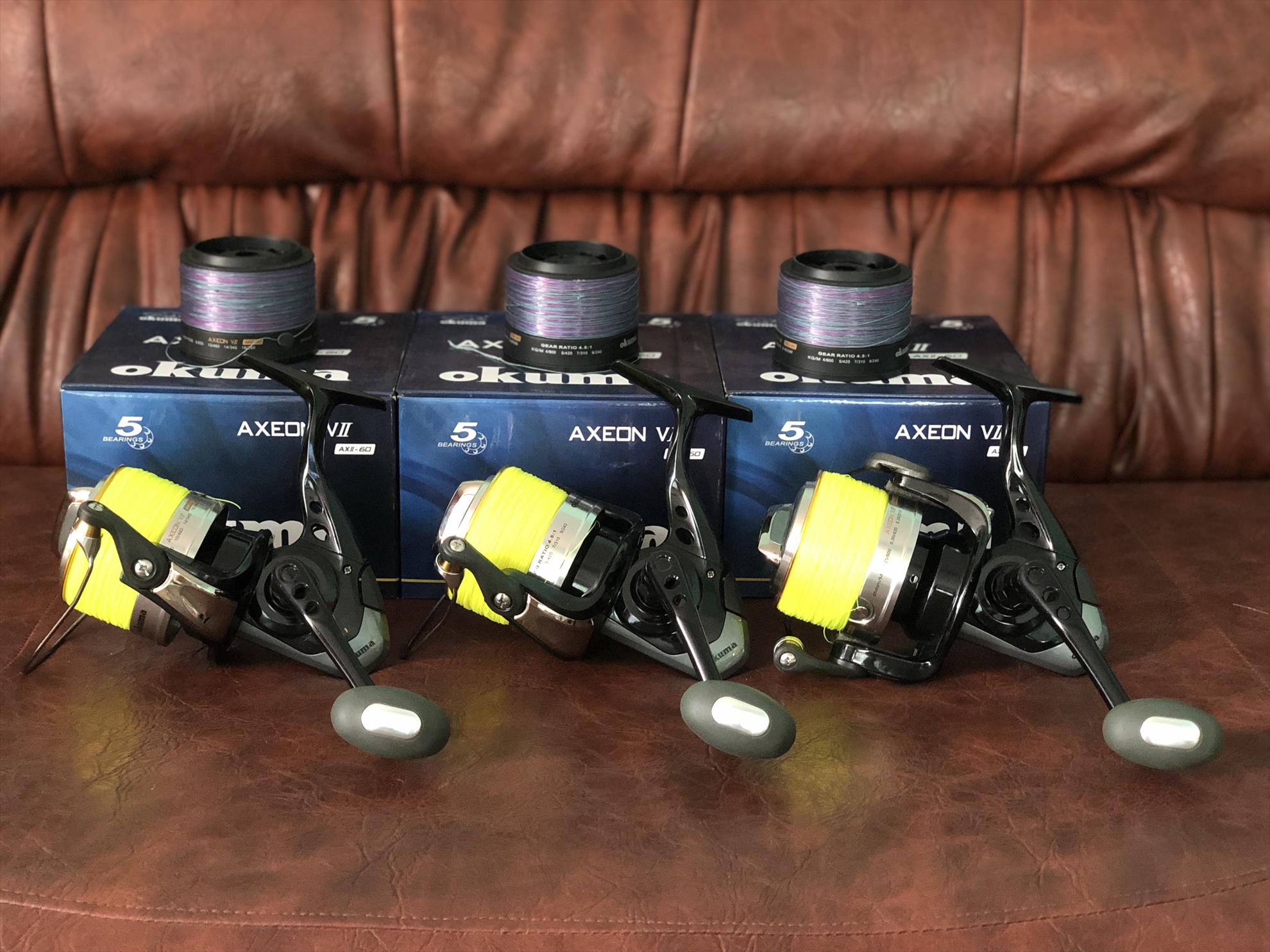  - e9be1318-5ea0-42bb-8509-de4917b858f0.jpeg