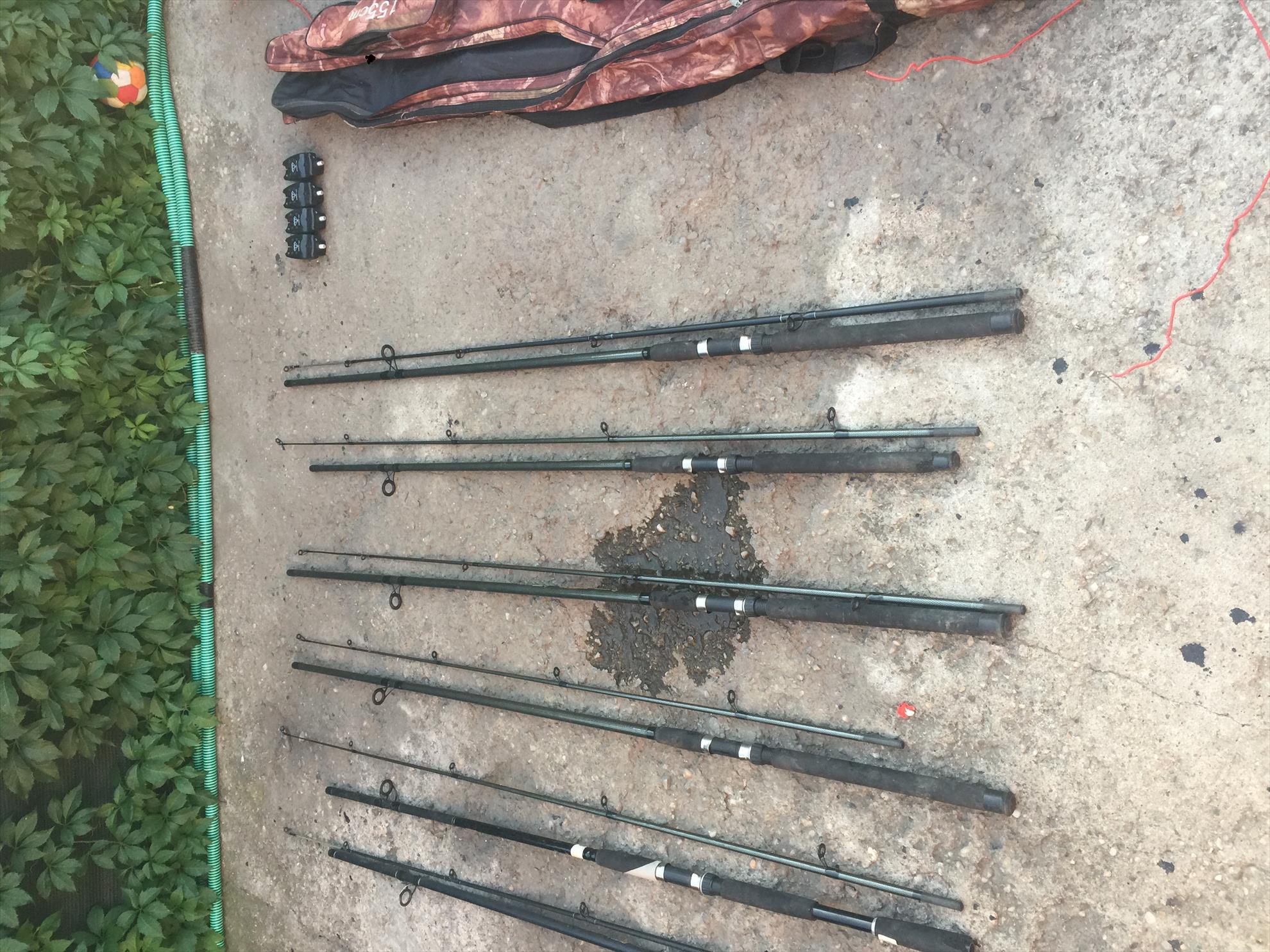  - c0c2a342-f0ff-4401-8516-2c898bf1caa4.jpeg