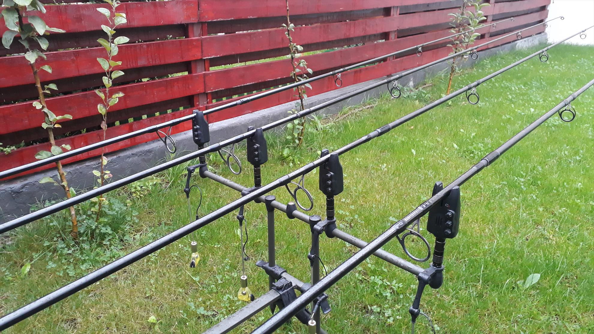  - 20191004172953.jpg